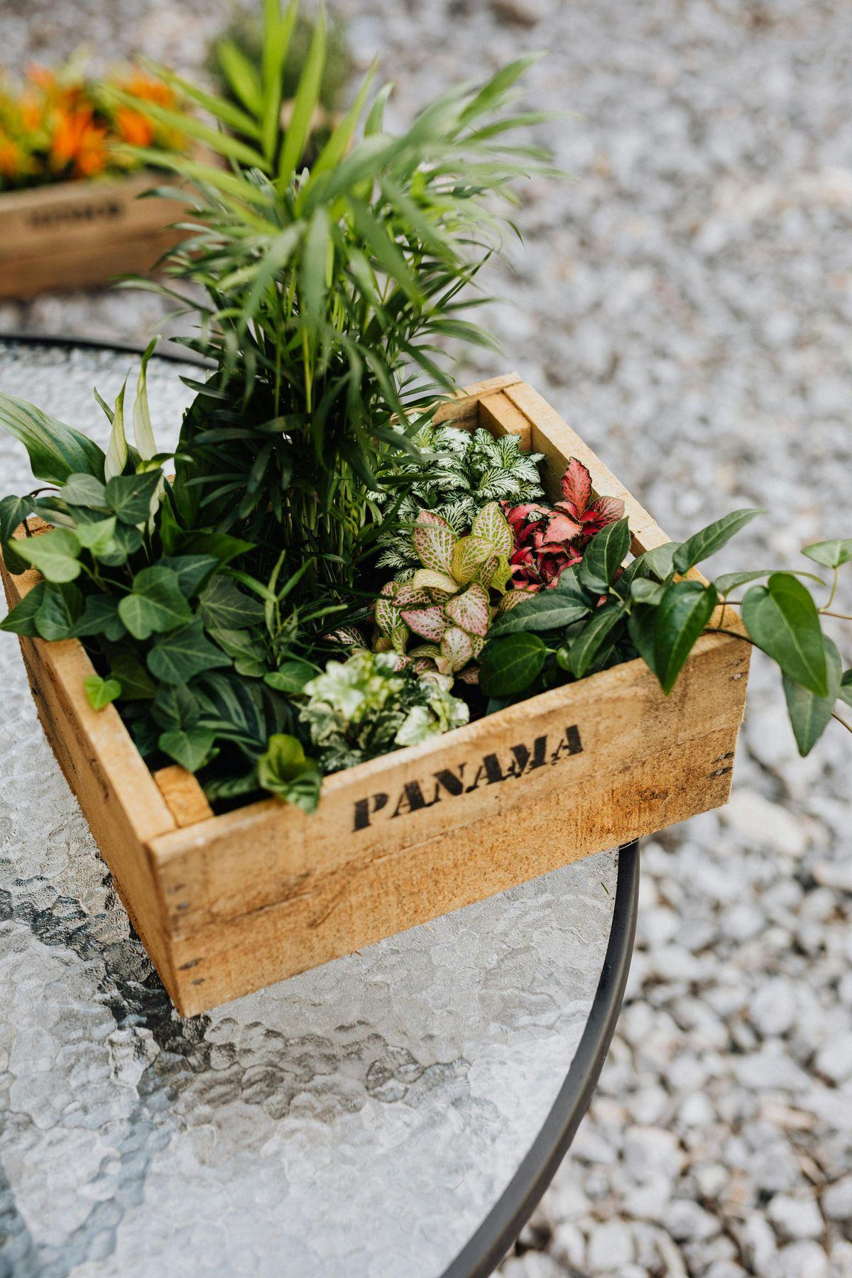 Fiscalité au Panama : guide pour résidents et non-résidents